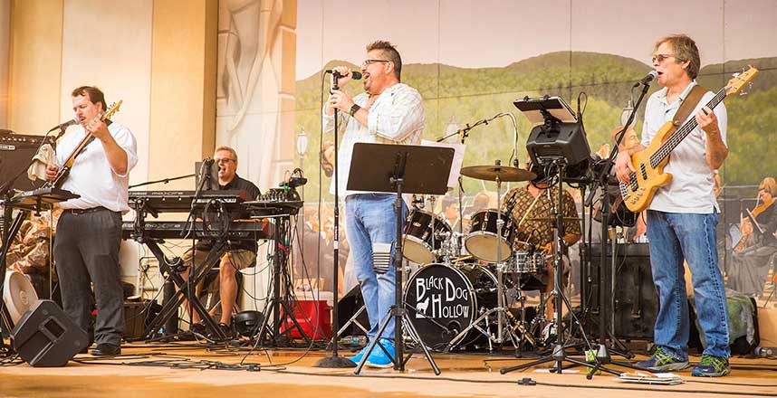 Black Dog Hollow Band